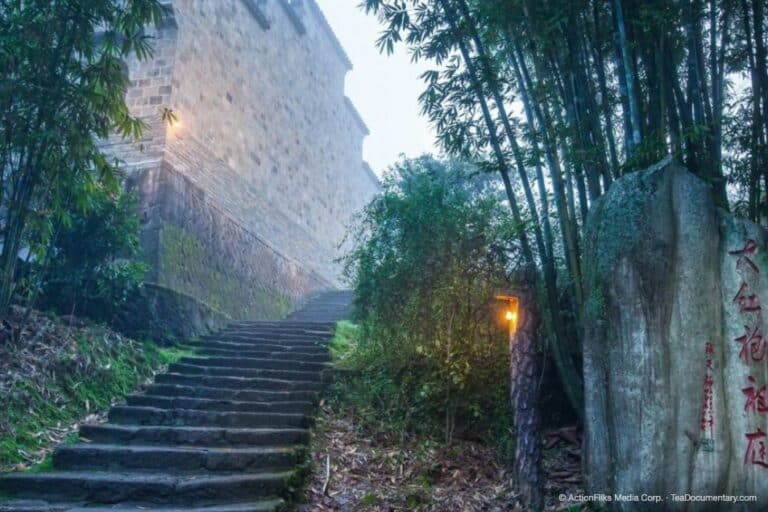 What Country Did Tea Originate From? 40 Tea originated in China: the Da Hong Pao tablet in the Wuyi Mountains