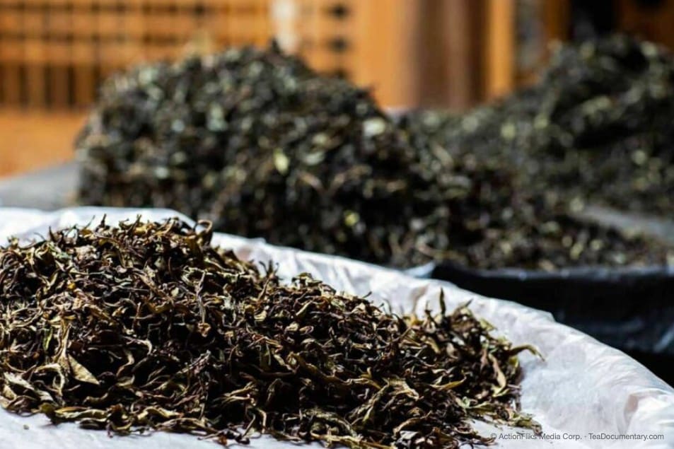What Country Did Tea Originate From? 6 traditional chinese tea making Loose Tea Leaves in Piles