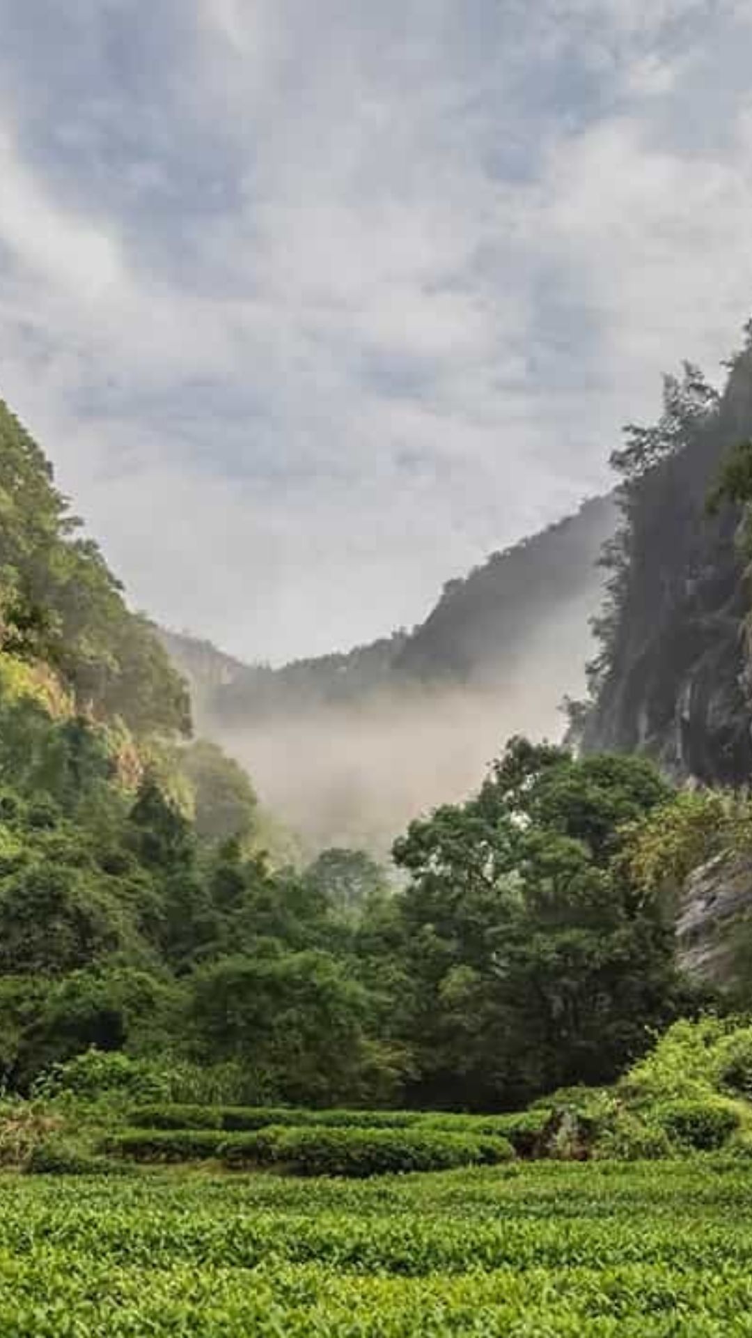 Stunning Mountains of Wuyi
