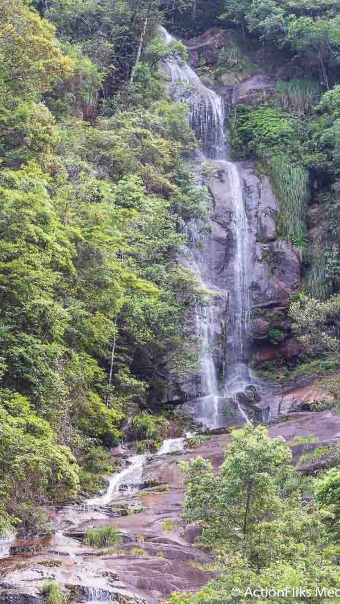 Waterfalls Forbidden Zone