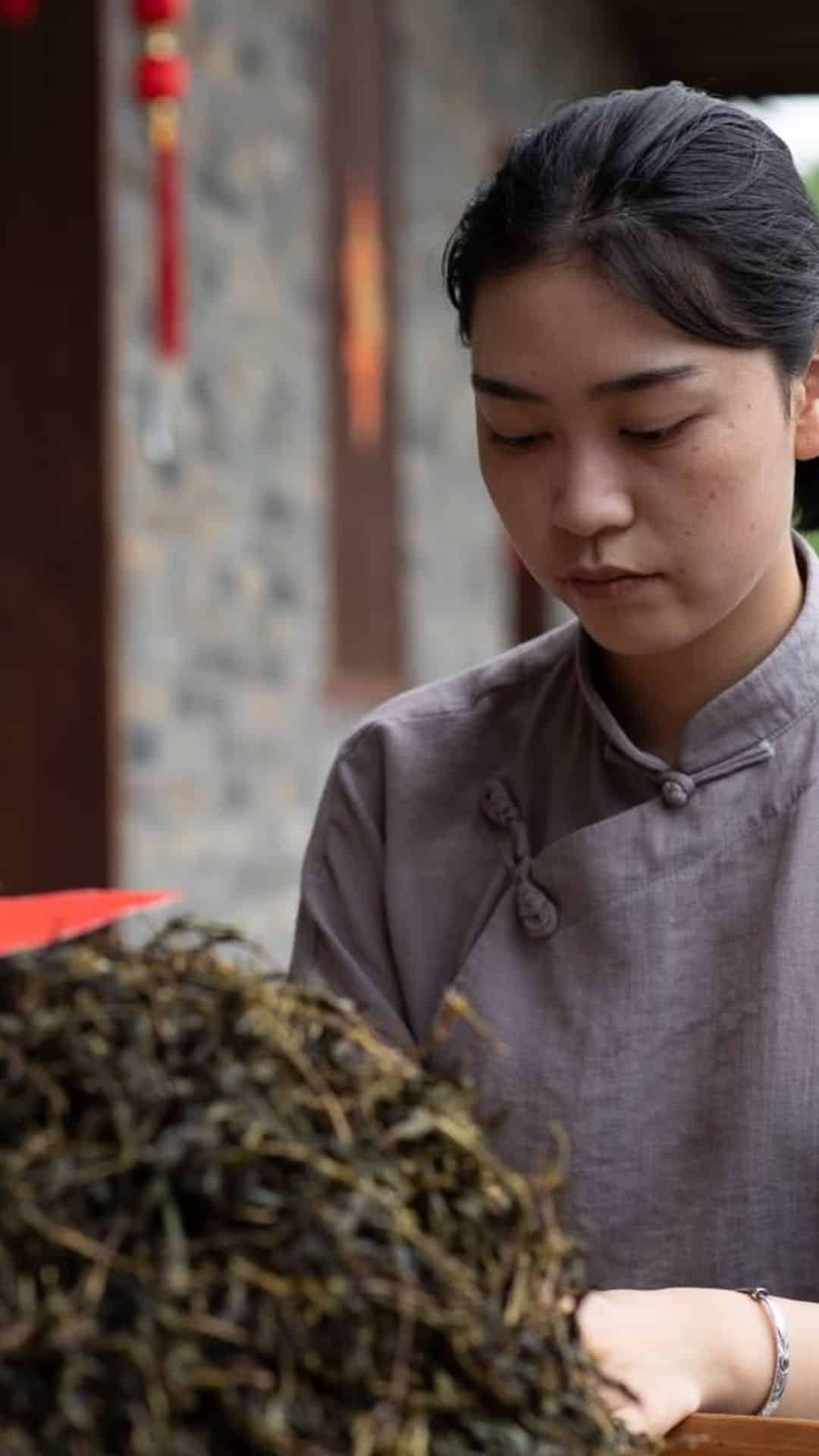 Da Hong Pao 9 Hand-sorting dry Da Hong Pao (大红袍) tea leaves at the Hwang family tea company in the Wuyi Mountains (武夷山), Fujian, China — featured in TEA: The Drink That Changed The World documentary