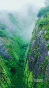 Wuyi Mountains tea fields Little Dragon Gulch aerial view TEA Documentary China