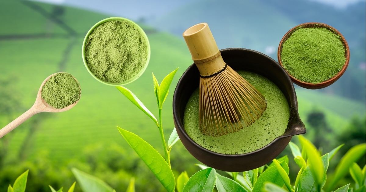 Where did Matcha originate — Matcha green tea powder, bamboo whisk and tea bowl above a Chinese tea field
