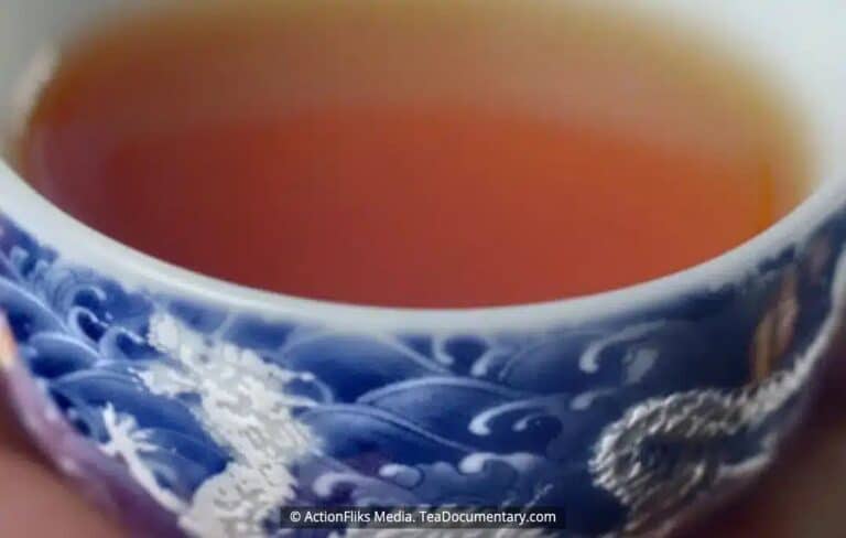 Who Brought Tea To Europe? 12 Who brought tea to Europe: Black tea in a blue-and-white Chinese dragon teacup, from TEA: The Drink That Changed The World