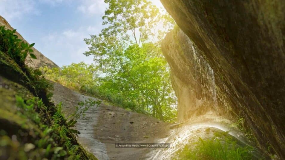 Terroir In Tea 2 wuyishan landscape rock terroir small waterfall