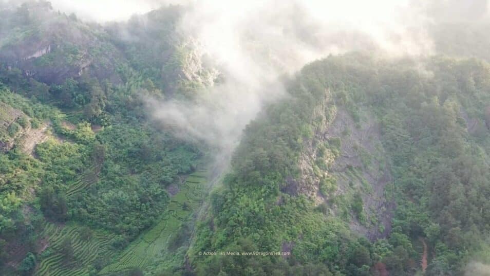 Terroir In Tea 4 wuyishan landscape tea field rock terroir aerial view